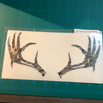 Camo Antlers Decal